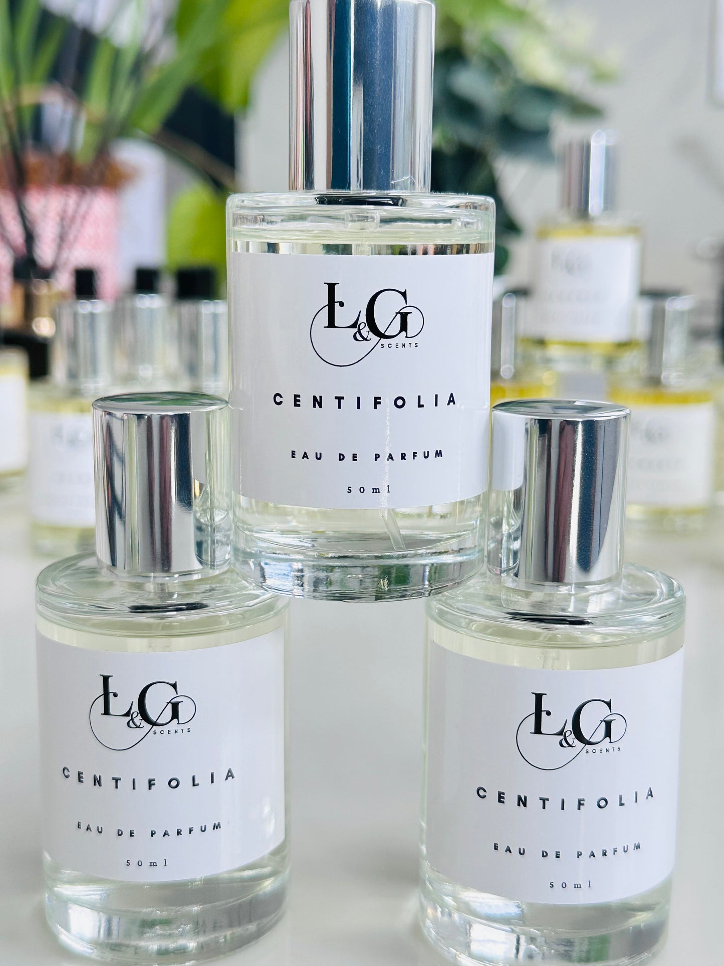 Generic Perfumes 50ml - Female Fragrances